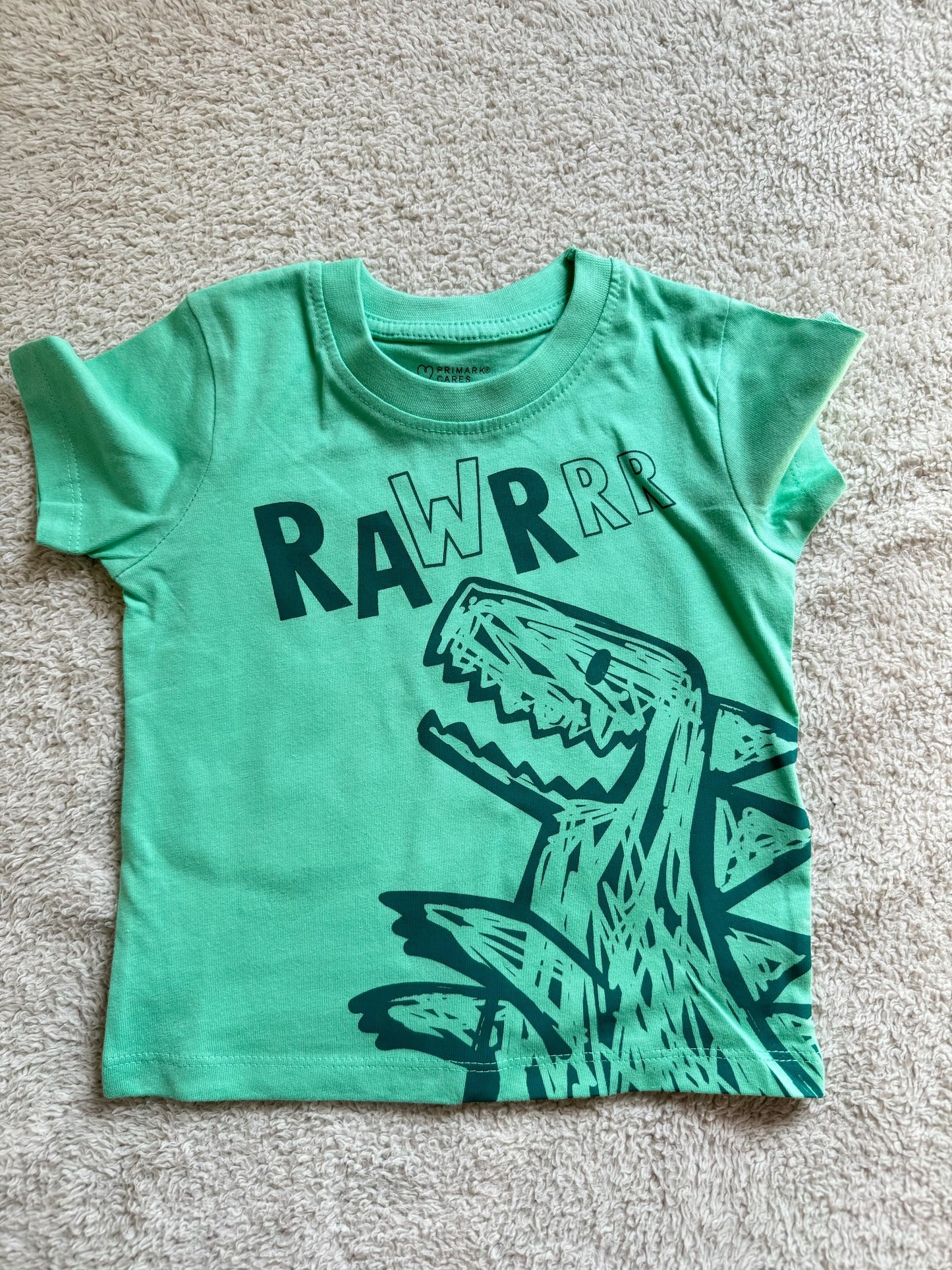 Round neck half sleeves tshirt Green RAWR